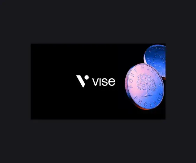 vise project
